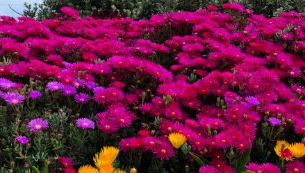 Customer image of Product 1